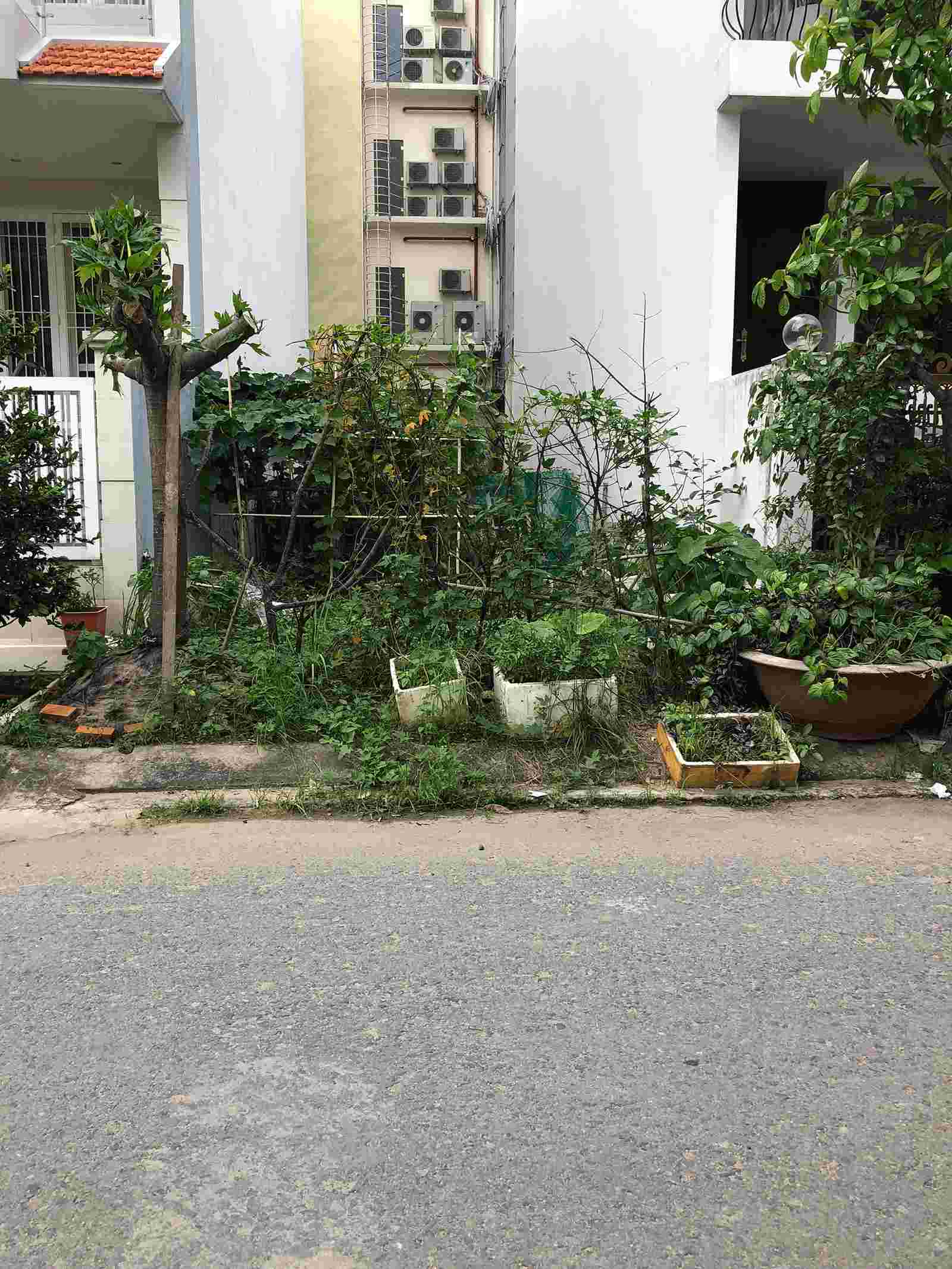 Bán đất khu đô thị Him Lam Kênh Tẻ Quận 7 đường D1, hướng Đông 100m2, vị trí đẹp, 220 triệu/m2. LH: 0913.050.053